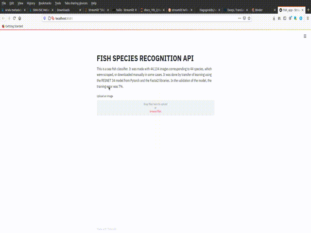 Cover Image for Marine Fish Recognition API